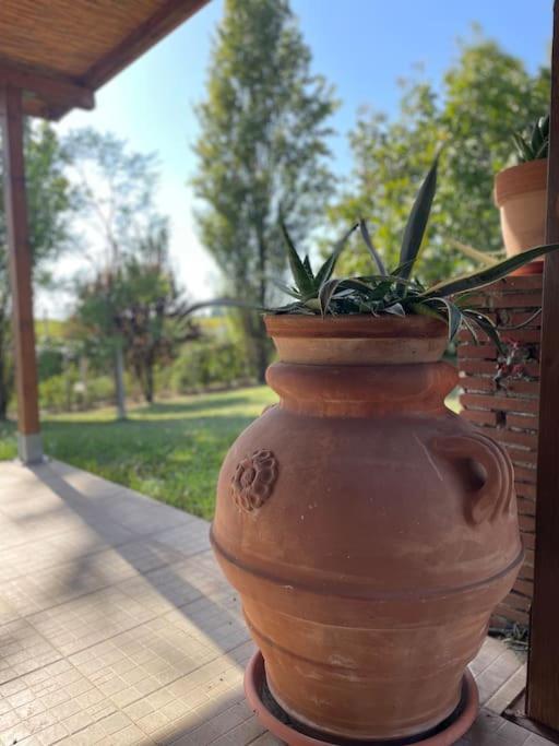 Tenuta Agave Ardea